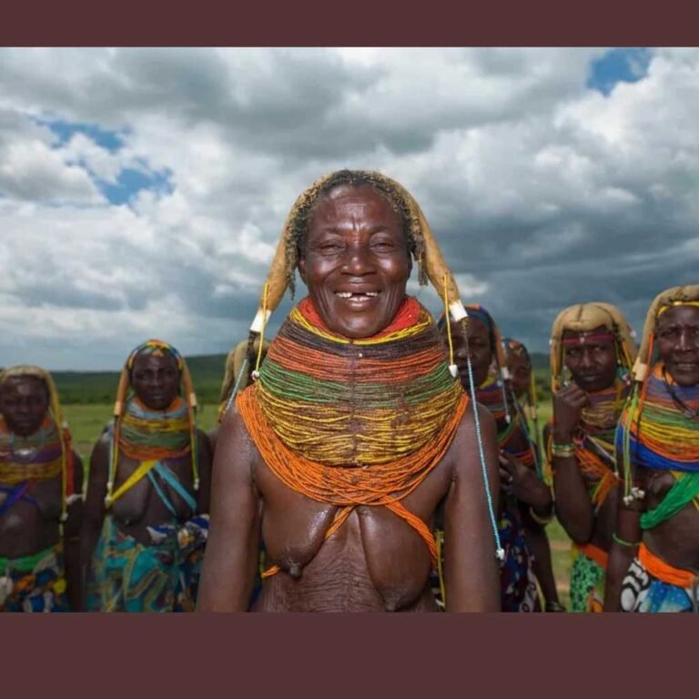 Read more about the article Ong Auxilia Governo Lubango